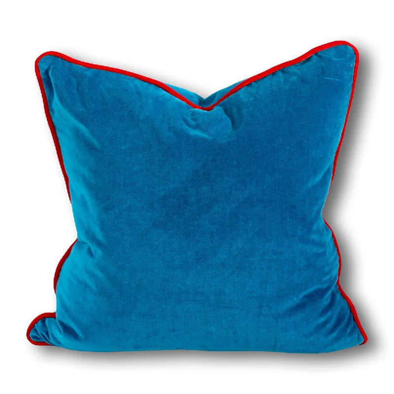 Charliss Velvet Pillow - Peacock + Cherry